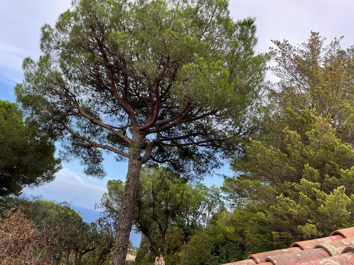 Villa In Tossa De Mar Spanje
